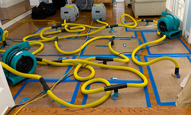 Professional Crawl Space Water Removal technician working in Olivet, SD